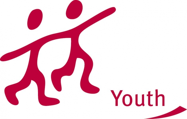 THE EUROPEAN VOLUNTARY SERVICE IN ZAVIDOVICI