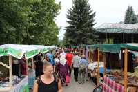 EXHIBITION OF DOMESTIC AGRICULTURAL PRODUCTS AND HANDICRAFTS
