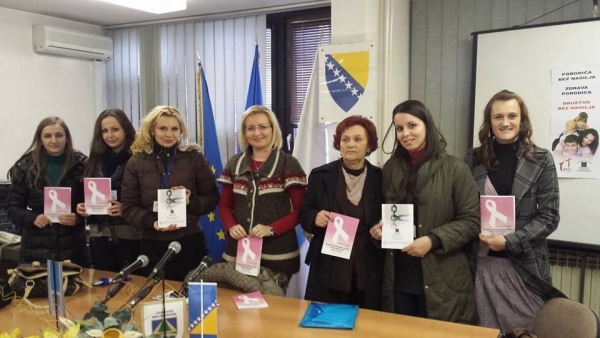 A BROCHURE ABOUT THE PERCEPTION OF DOMESTIC VIOLENCE IN HIGHSCHOOL STUDENTS POPULATION PUBLISHED BY THE ASSOCIATION „SIGURNO MJESTO“