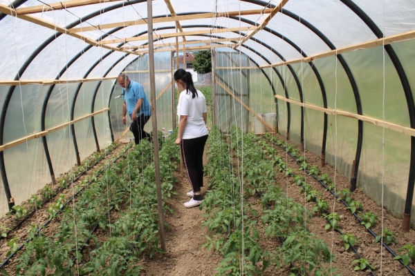 FAMILY GARDENS 2021