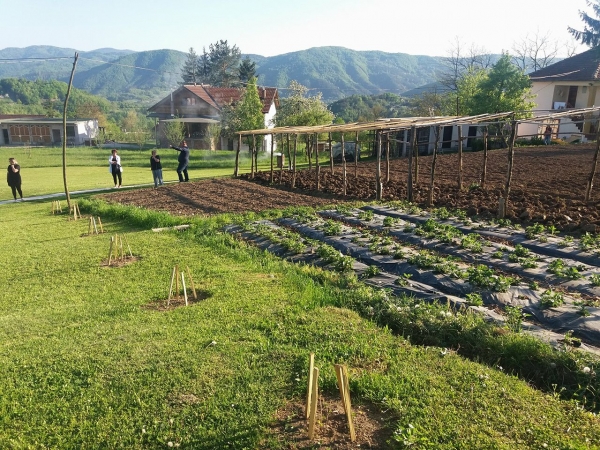 FAMILY GARDENS 2018