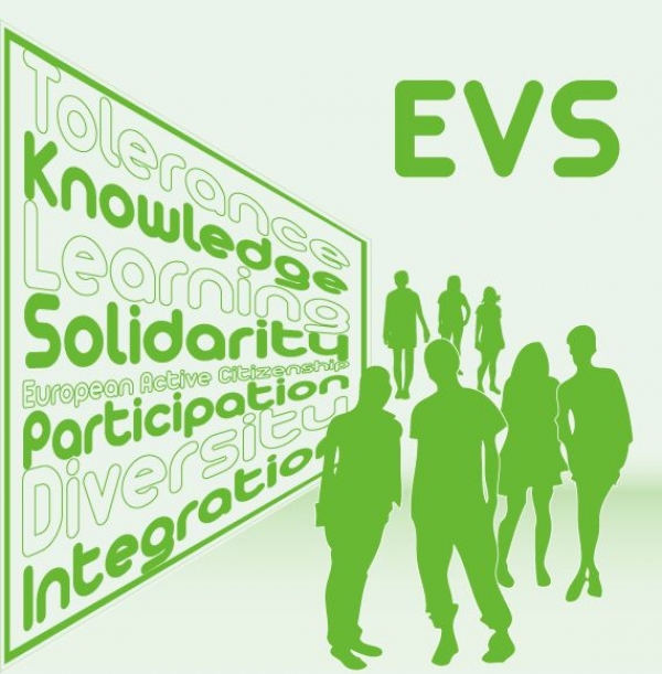 European Voluntary Service for young people from Zavidovici